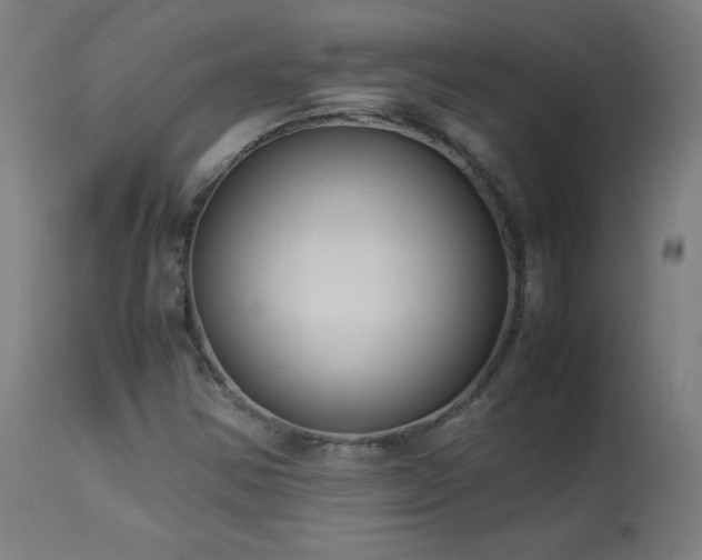 X0000114171354200910081512