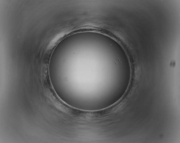 X0000114171355200910081512