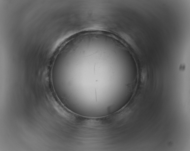 X0000114171356200910081512