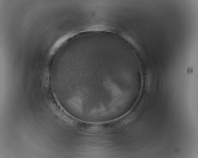 X0000114171358200910081512