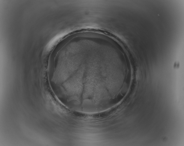 X0000114171359200910081512