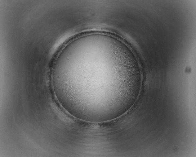 X0000114171360200910081512