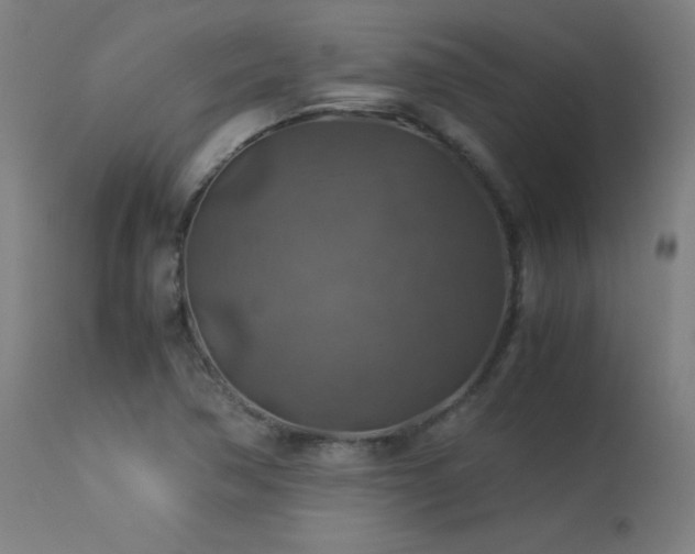 X0000114171362200910081512