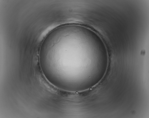 X0000114171363200910081512