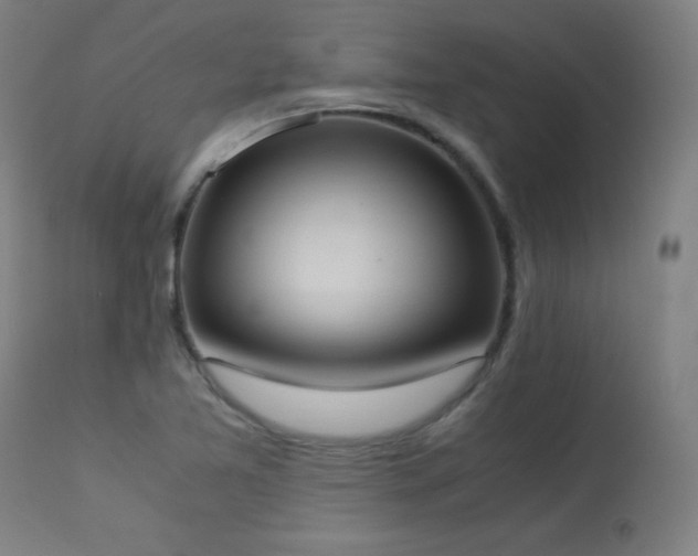 X0000114171365200910081512