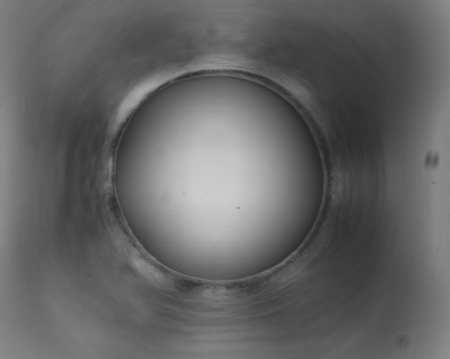 X0000114171366200910081512