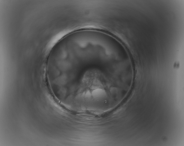 X0000114171367200910081512