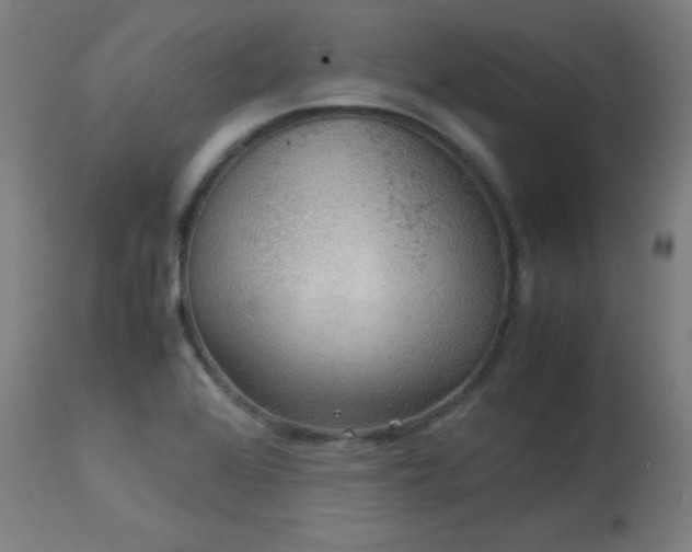 X0000114171368200910081512