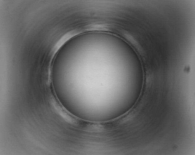 X0000114171370200910081512