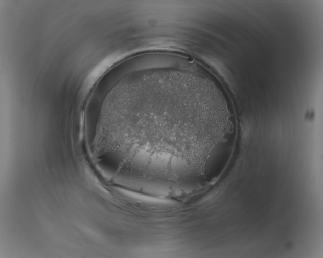 X0000114171371200910081512