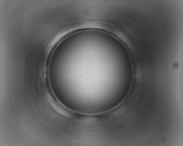 X0000114171372200910081512