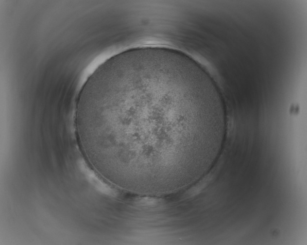 X0000114171374200910081512
