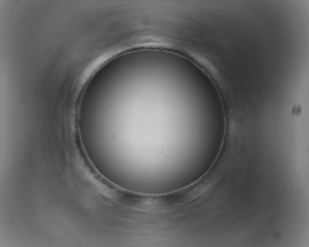 X0000114171375200910081512