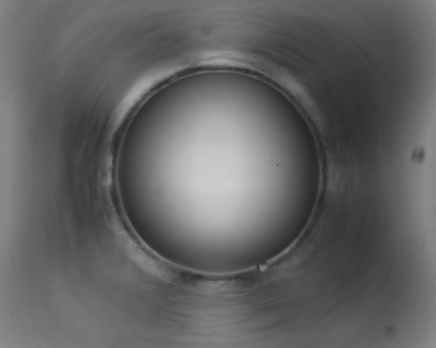 X0000114171376200910081512