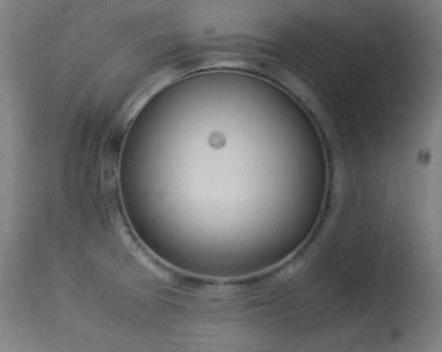 X0000114171377200910081512