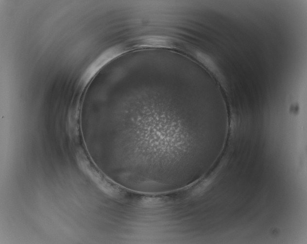 X0000114171378200910081512