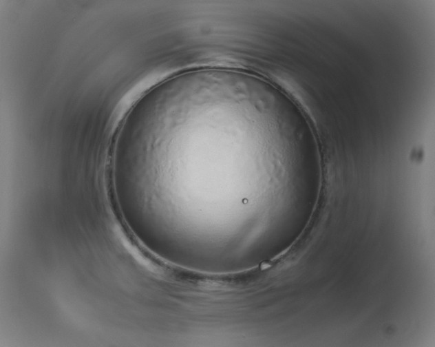X0000114171379200910081512