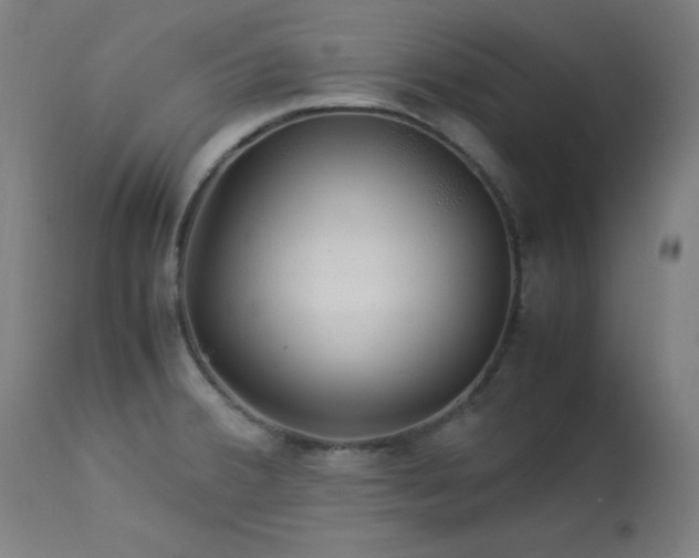 X0000114171380200910081512
