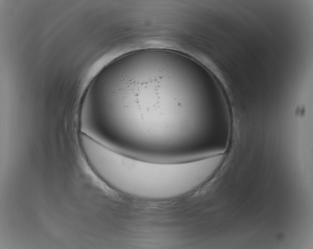 X0000114171381200910081512