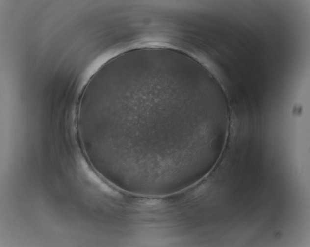 X0000114171382200910081512