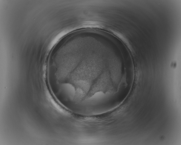 X0000114171383200910081512