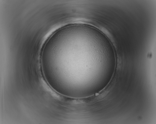 X0000114171384200910081512