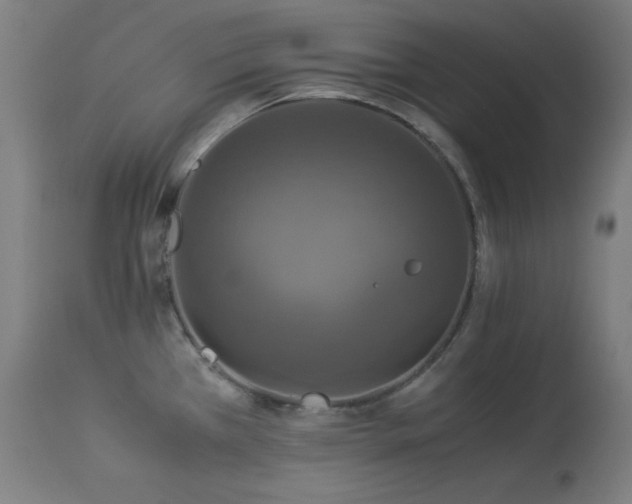 X0000114171385200910081512