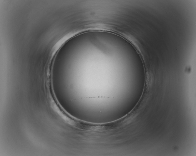 X0000114171387200910081512