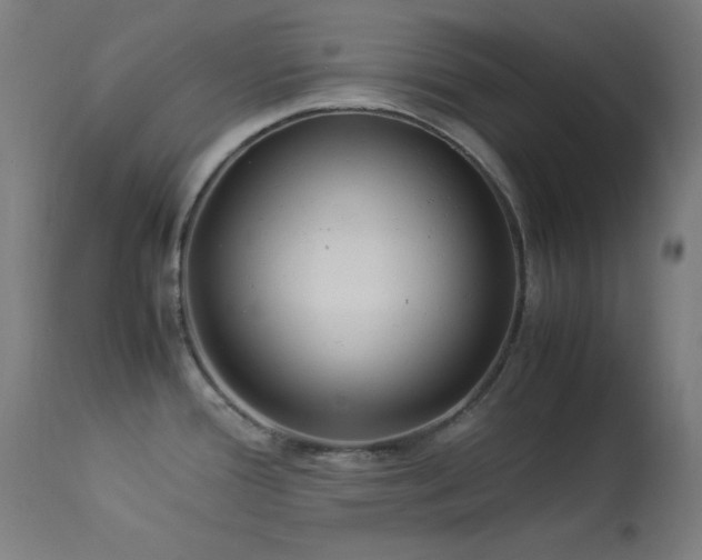 X0000114171388200910081512