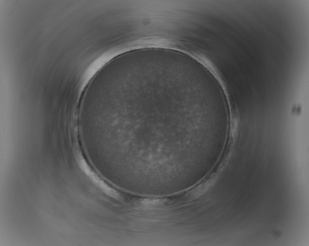 X0000114171389200910081512