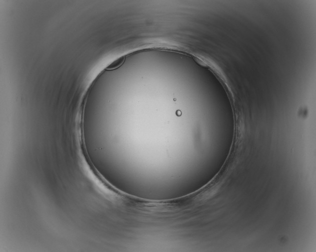 X0000114171391200910081512