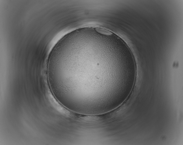 X0000114171392200910081512
