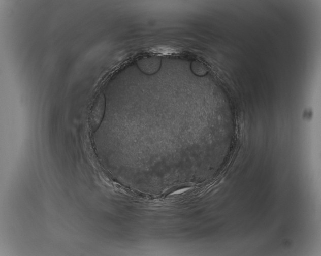 X0000114171393200910081511