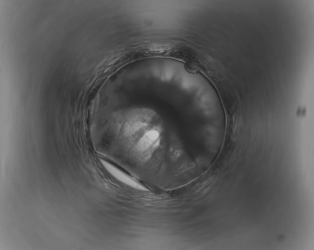 X0000114171394200910081511