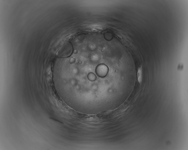 X0000114171395200910081511