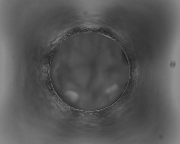 X0000114171397200910081511