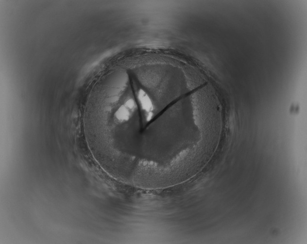 X0000114171398200910081511