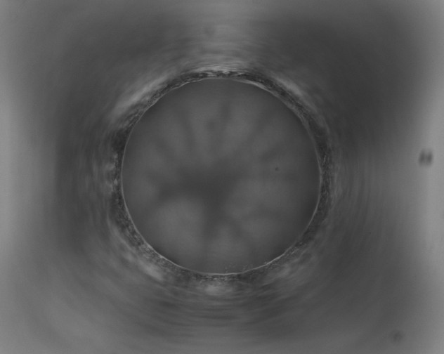 X0000114171399200910081511