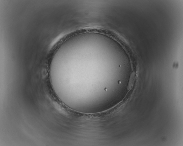 X0000114171400200910081511