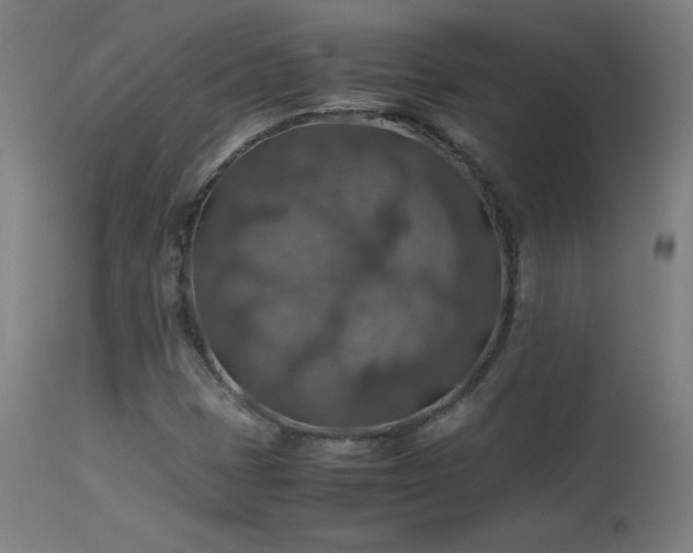 X0000114171401200910081511