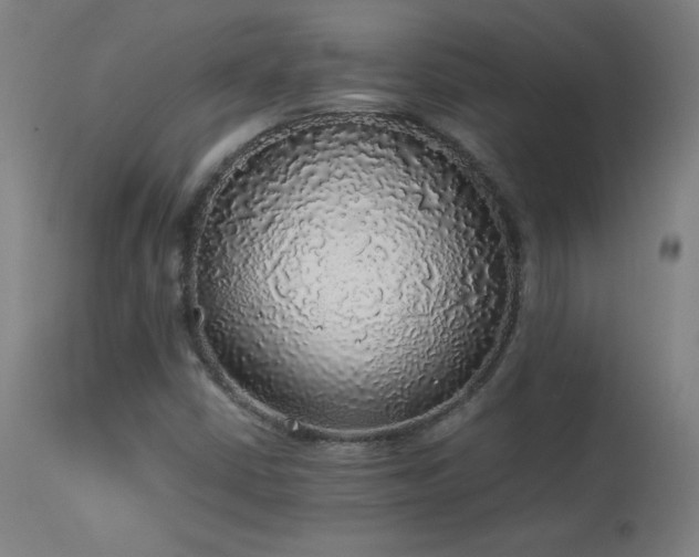 X0000114171402200910081511