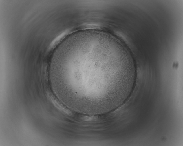 X0000114171403200910081511