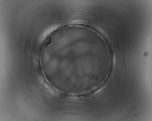X0000114171405200910081511