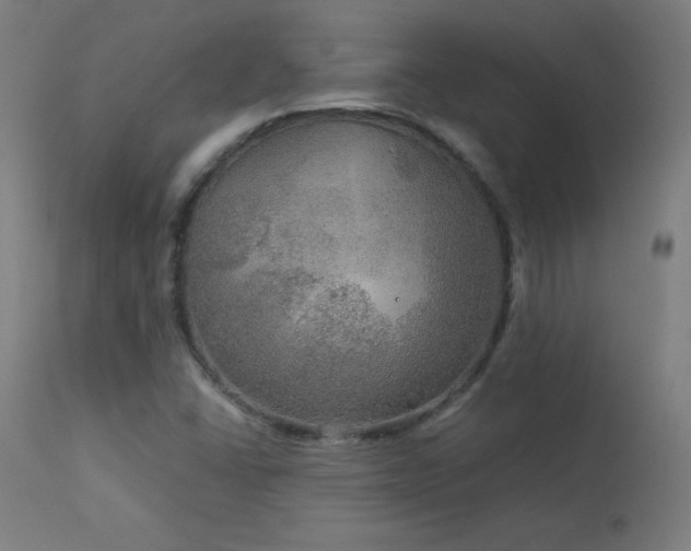 X0000114171406200910081511