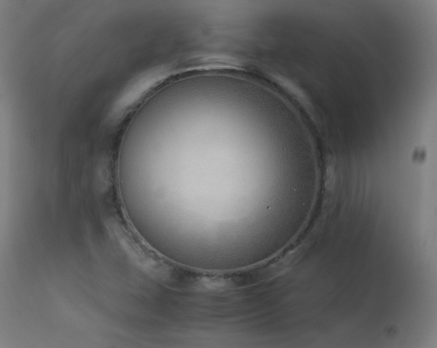 X0000114171407200910081511