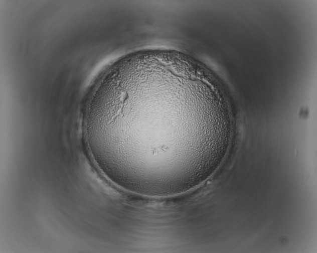 X0000114171408200910081511