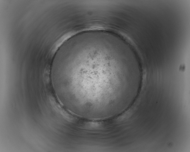 X0000114171409200910081511