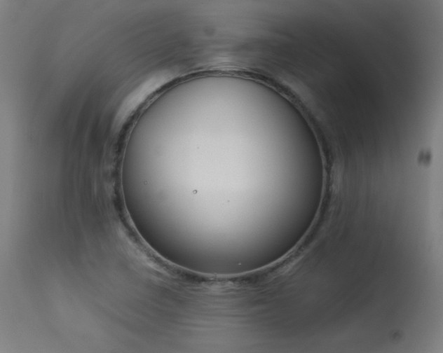 X0000114171410200910081511