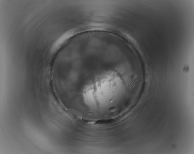 X0000114171411200910081511