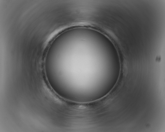X0000114171412200910081511